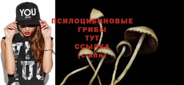 гидра Абинск