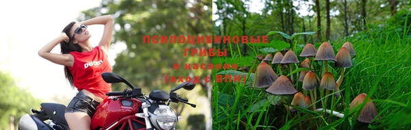 мяу мяу мука Абдулино