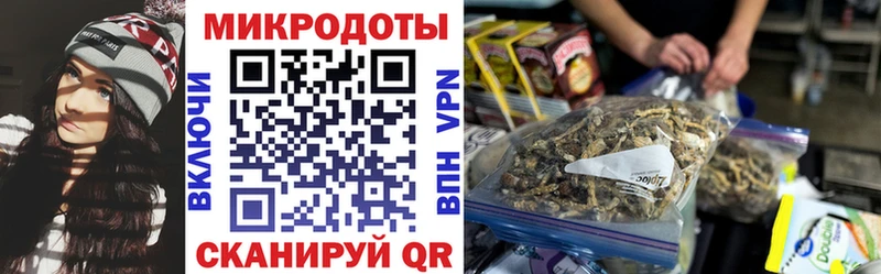 hydra зеркало  хочу   Чишмы  Галлюциногенные грибы Psilocybe 