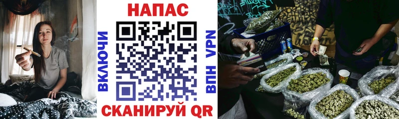 Конопля планчик Чишмы